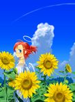  53box angel blue_eyes cloud day flower hair_ornament hairclip halo jewelry necklace original ponytail red_hair sango_(53box) short_hair sky solo sunflower wings 