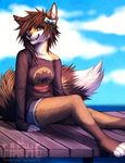  anthro batman batman_(series) blue_sky bow brown_hair canine clothed clothing cloud cute falvie female fluffy_tail fox fur hair looking_at_viewer mammal multicolor_fur off_shoulder pants pointy_ears shirt shorts sitting sky smile solo stripes tan_fur topaz topazfox watermark 