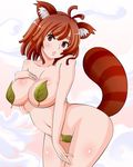  abu-san_(abuno) animal_ears antenna_hair blush breasts brown_hair eyebrows highres large_breasts leaf lips looking_at_viewer navel nude original raccoon_ears raccoon_tail red_eyes short_eyebrows short_hair smoke solo tail thick_eyebrows 