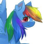  blue_fur blush chipar equine female friendship_is_magic fur hair horse long_hair looking_at_viewer mammal multi-colored_hair my_little_pony plain_background pony rainbow_dash_(mlp) rainbow_hair red_eyes solo white_background wings 