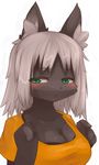  anthro blush breasts canine chipar clothed clothing eyebrows eyelashes female green_eyes hair half-closed_eyes looking_at_viewer mammal plain_background solo white_background white_hair 