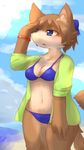  anthro beach bikini blue_eyes blush bracelet breasts brown_fur brown_hair canine chipar clothed clothing cloud female fur hair jewelry mammal open_mouth seaside short_hair small_breasts solo standing swimsuit water white_fur 