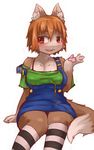  anthro blush breasts brown_eyes brown_fur brown_hair canine chipar clothed clothing female fur hair legwear mammal sitting solo stockings white_fur 