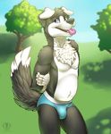  anthro arms_behind_back black_nose blue_eyes border_collie bulge canine chest_tuft claws crossed_arms dog fur looking_at_viewer male mammal open_mouth outside raised_tail solo standing toned tongue tongue_out tree tuft underwear vallhund 