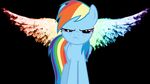  dash dragon feral fluttershy_(mlp) friendship_is_magic hair horse looking_at_viewer mammal multi-colored_hair my_little_pony pegasus pony purple_eyes rainbow rainbow_dash_(mlp) rainbow_hair solo wings 