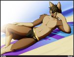  anime_eyes anthro beach brown_eyes brown_fur bulge canine fur looking_at_viewer lying male mammal navel outside seaside shiuk smile solo speedo swimsuit towel wolf 