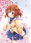  antenna_hair blazer blurry brown_eyes brown_hair cherry_blossoms clannad depth_of_field flower furukawa_nagisa hikarizaka_private_high_school_uniform iris_yayoi jacket pleated_skirt school_uniform serafuku short_hair skirt 