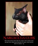  claws human mammal monster_hunter motivational_poster nargacuga photoshop unknown_artist video_games young 