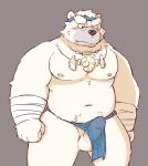  2017 anthro balls bear belly black_nose blush clothing erection flappydog fundoshi fur humanoid_hands japanese_clothing male mammal moobs navel nipples overweight overweight_male penis polar_bear simple_background solo underwear white_fur 