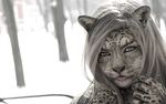  edit feline female grey_eyes grey_hair hair leopard looking_at_viewer mammal odysseusut outside photo_manipulation photomorph snow_leopard solo spots 