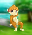  anthro balls blush chimchar cute feral fur hair looking_at_viewer male mammal nintendo nipples nude penis pok&#233;mon pok&eacute;mon smile solo video_games young zekromlover 