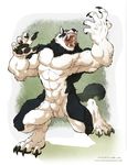 4_toes abs anthro ball balls biceps big_muscles black_fur canine claws fangs fur male mammal muscles nude open_mouth paws pecs roaring saliva sheath silverfoxwolf solo teeth tongue were werewolf wfa white_fur wolf 