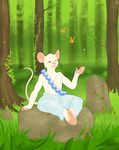  butterfly clothed clothing corruption_of_champions crosslegged forest insect invalid_tag jojo_(coc) male mammal mot mouse nipples peaceful rodent sitting tree 