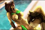  anthro bra breasts canine clothed clothing collar drooling duo feline female fur grey_eyes hair half-dressed hi_res male mammal nipples outside pool presenting presenting_pussy pussy saliva shadow shiny short_hair spread_legs spreading squint straight swimsuit tai_lung tongue tongue_out underwear 