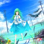  absurdres bird blue_skirt blue_sky blush cloud cloudy_sky damaged day detached_sleeves feathers frog_hair_ornament grass green_eyes green_hair hair_ornament hair_tubes highres horizon kochiya_sanae metalwasabi open_mouth outdoors power_lines sign skirt skirt_hold sky snake_hair_ornament touhou vest wading water wind 