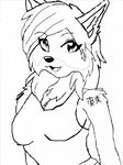  akira boltthewolf color&nbsp; cute female lynx&nbsp;female 