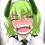  [] antennae blush crying crying_with_eyes_open green_eyes green_hair lowres short_hair solo tears touhou wriggle_nightbug 