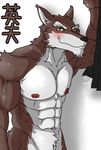  abs anthro biceps big_muscles black_nose blush brown_fur canine fur grin hentist hideo_katashi looking_at_viewer male mammal muscles nipples nude pecs plain_background pose smile solo standing toned vein white_fur wolf yellow_eyes 