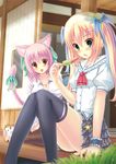  animal_ears ichiroku nekomimi sena_(ichiroku) shia_flatpaddy tail thighhighs 