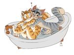  &lt;3 anthro balls bath blush cat duo feline freckle freckle_mcmurray fur gay hug lackadaisy male mammal nude penis plain_background rocky_rickaby smile therabbitd water 