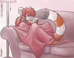  blanket female hair mammal reading red_hair red_panda sofa solo unimpressive 