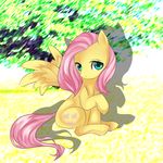  cutie_mark equine female feral fluttershy_(mlp) friendship_is_magic fur hair mammal my_little_pony pegasus pink_hair shlebby solo wings yellow_fur 
