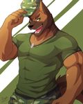  abs abstract_background anthro biceps big_muscles black_nose brown_fur canine clothing dog dog_tags fangs fur german_shepherd green_eyes grin hat looking_at_viewer male mammal military muscles open_mouth pants pecs plain_background pose rabbity shirt smile solo standing teeth toned tongue 