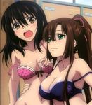  2_girls 2girls arm_around_waist black_hair blush bra breasts brown_eyes brown_hair cleavage green_eyes hair_ribbon lingerie locker_room long_hair lowres multiple_girls open_mouth pink_bra polka_dot polka_dot_bra ponytail purple_bra ribbon source_request strap_slip strike_the_blood underwear 