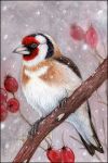  ambiguous_gender avian beak bird feral finch sidonie snow snowing solo standing traditional_media_(artwork) 