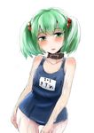  collar dog_collar green_eyes green_hair hair_bobbles hair_ornament kisume one-piece_swimsuit school_swimsuit short_hair sinzan standing swimsuit touhou twintails 