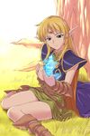  armor belt blonde_hair boots cape circlet deedlit elf g-tetsu glowing grass green_eyes highres magic pointy_ears purple_cape record_of_lodoss_war sitting smile solo sylph tree wariza 