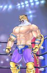  &#12509;&#12481;&#12467;&#12525; ???? armor biceps big_muscles body_markings brown_fur bulge clothing fangs feline fighter fighting_ring fur gloves green_eyes human hybrid jaguar king_(tekken) male mammal markings mask muscles nipples open_mouth pants pecs pose shorts solo spots standing tan_fur teeth tekken toned tongue topless vein white_fur wrestler 