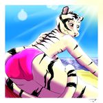  beach cun feline male mammal maus_merryjest seaside sidney_kenson speedo swimsuit tiger white_tiger 