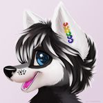 anthro canine colored cute fur hair jamesfoxbr looking_at_viewer male mammal okamikami open_mouth painted painting plain_background smile solo teeth tongue 
