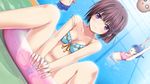  bikini brown_hair game_cg love_of_renai_koutei_of_love! oozora_itsuki pool purple_eyes spread_legs susukino_suu swimsuit water 