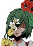  absurdres anemone_(flower) commentary face flower green_hair highres kazami_yuuka looking_at_viewer open_mouth potato_pot red_eyes simple_background solo symbolism touhou tulip white_background 