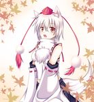  animal_ears bare_shoulders breasts coffeedog detached_sleeves hat highres inubashiri_momiji looking_at_viewer medium_breasts midriff open_mouth red_eyes short_hair silver_hair solo tail tokin_hat touhou wolf_ears wolf_tail 