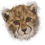  cheetah fur no_humans original simple_background sketch yukihiro 