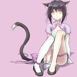  animal_ears black_hair cat_ears colivt highres legs shaomei_rin shining_(series) shining_hearts single_thighhigh sitting solo tail thighhighs 
