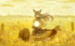  animal animal_ears belt capelet clothed_animal cloud cloudy_sky dog dress field light long_hair looking_at_viewer magic original pouch sakimori_(hououbds) scarf scenery sky solo wind yellow 