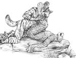  anal_penetration anthro blotch duo erection feline gay hindpaw hyena legs_up leopard lying male mammal monochrome nude on_back open_mouth pawpads paws penetration penis plain_background sex sketch striped_hyena whiskers white_background 