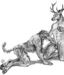  blotch canine cervine deer dog gay irish_wolfhound male mammal monochrome oral oral_sex penis plain_background sex white_background 