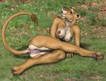  feline female lion mammal nipples nude pussy wookiee_(artist) 