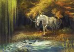  black_hair equine fantasy feral forest fur gaiasangel grass hair hooves horn mammal mane rocks tree unicorn water white_fur 