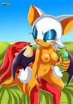  bbmbbf breasts cum dildo duo echidna erection female grin knuckles_the_echidna male mammal mobius_unleashed nude palcomix penetration penis pussy rouge_the_bat sega sex_toy sonic_(series) straight toy wings 