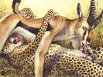 anthro balls barbs blotch cheetah claws erection feline fellatio gay gazelle horn interspecies male mammal oral oral_sex penis predator/prey_relations sex 
