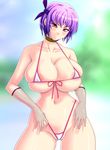  1girl ayane ayane_(doa) bikini breasts dead_or_alive huge_breasts micro_bikini purple_hair solo swimsuit tecmo 