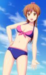  bikini brown_eyes brown_hair chuunibyou_demo_koi_ga_shitai! hair_ornament hairclip kisaragi_julia long_hair nibutani_shinka ponytail solo standing swimsuit 