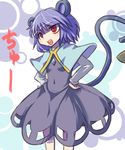  animal_ears blue_hair hakika mouse_ears mouse_tail nazrin red_eyes solo tail touhou 