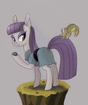  boulder boulder_(mlp) clothed clothing crocodile equine female friendship_is_magic green_eyes gummy gummy_(mlp) hair horse looking_back mammal maud_pie_(mlp) my_little_pony pony purple_hair reptile rock scalie twitchykismet 